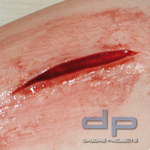 EZ Wounds Wundensimulationsset Basic Set mit 4 Wunden und Verbrauchsmaterial