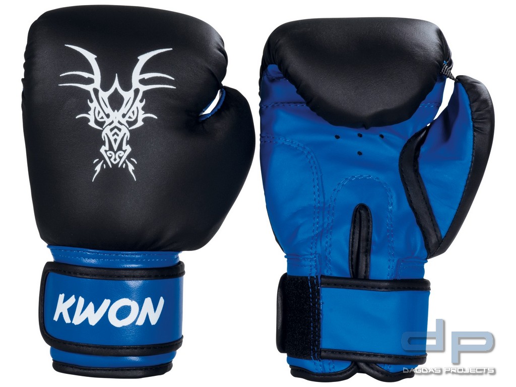 Kinder Boxhandschuhe Mini Drache