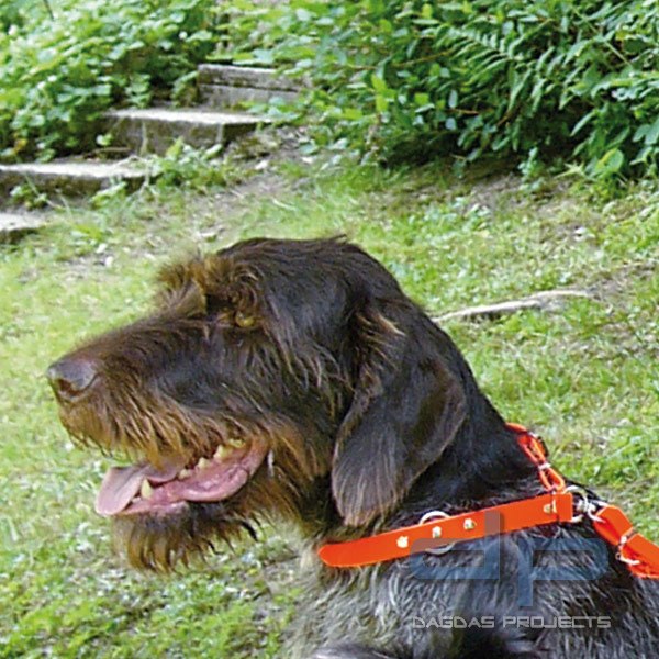 Signalrote Halsung BIO THANE