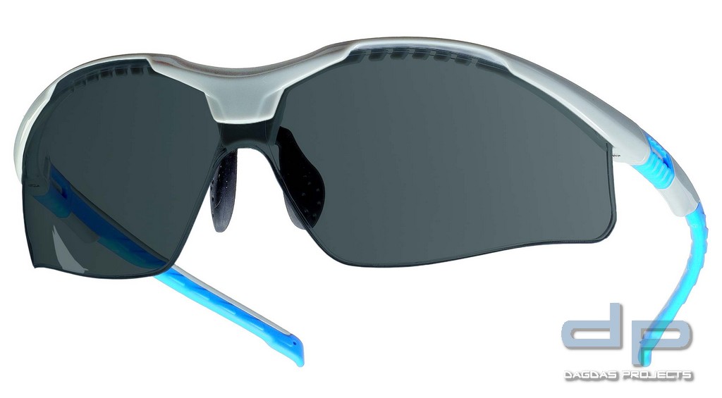 GRAUE SCHUTZBRILLE TECTOR® VPE 12