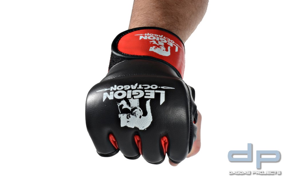 LEGION OCTAGON MMA Handschuhe Fight