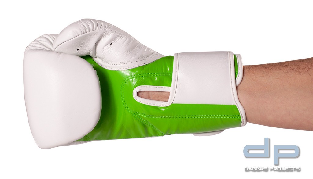 Kickboxhandschuhe Fight Champ in verschiedenen Farben