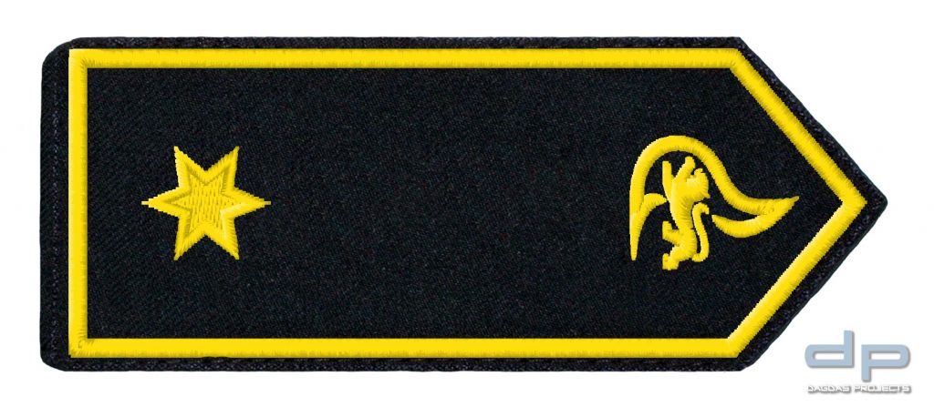 SCHULTERKLAPPENPAAR FEUERWEHR, BADEN-WÜRTTEMBERG BRANDRÄTIN/-RAT (A13)
