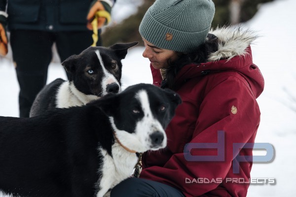 FJÄLLRÄVEN NUUK LITE DAMEN PARKA IN VERSCHIEDENEN FARBEN