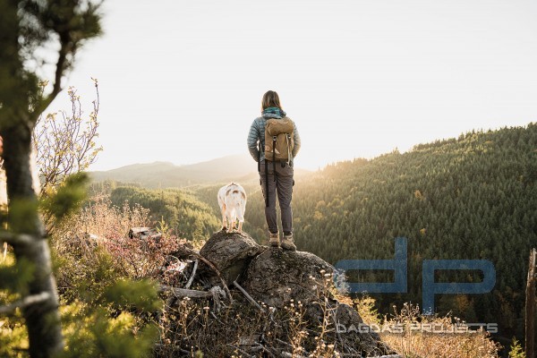 GERBER AYAKO FOLDING POCKET SILVER