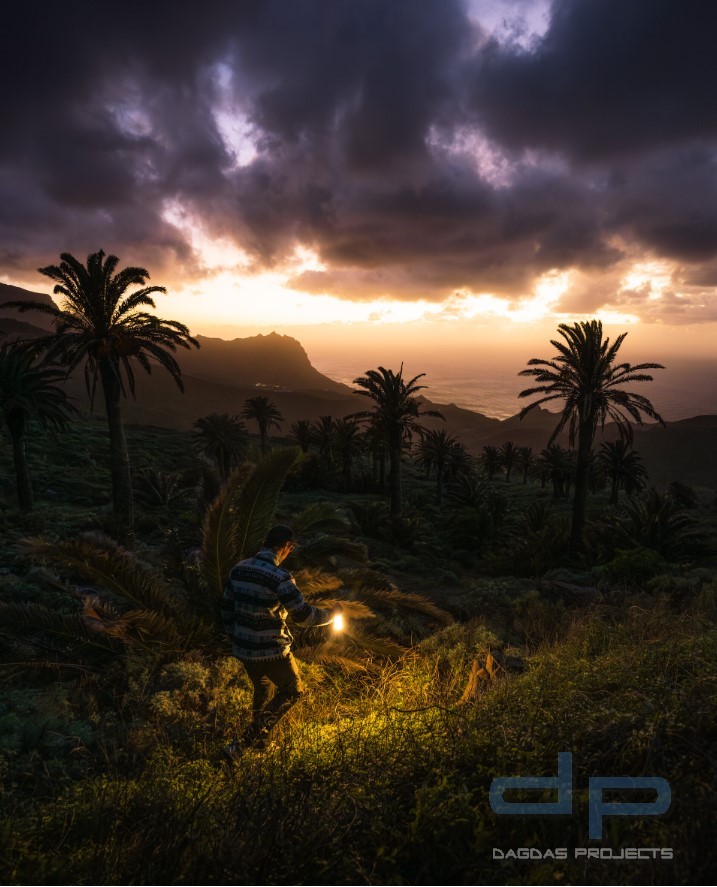 Ledlenser Laterne ML6 Warm Light