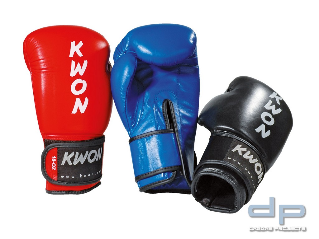 Boxhandschuhe Ergo Champ in verschiedenen Farben