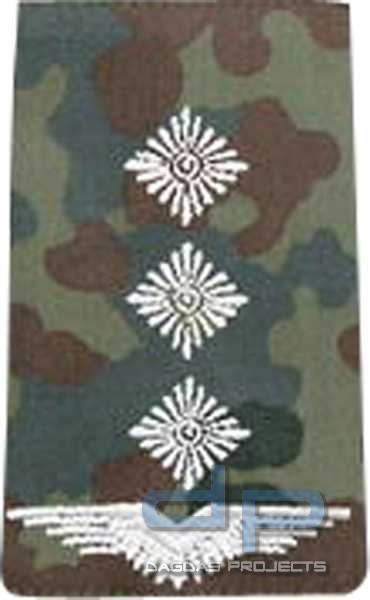 BW Rangschl. Hauptmann Luftwaffe Tarn/Silber