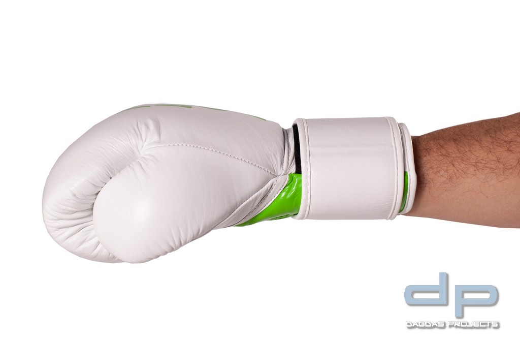 Kickboxhandschuhe Fight Champ in verschiedenen Farben