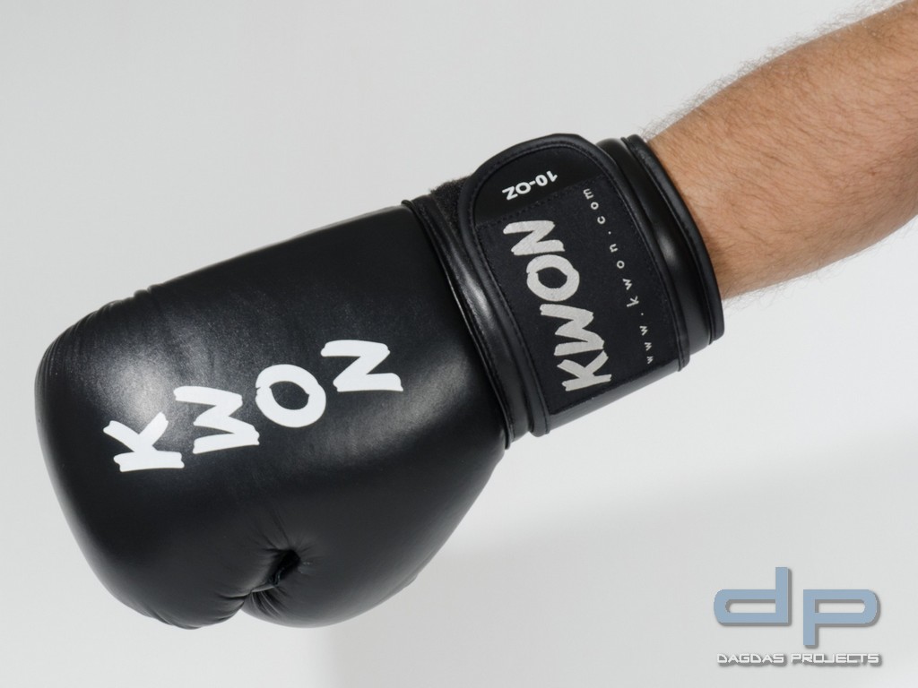 Boxhandschuhe Ergo Champ in verschiedenen Farben